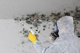 Best HVAC Mold Inspection and Cleaning in De Soto, IA